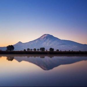 Meet your Posher, Aline